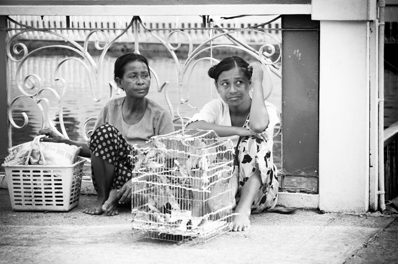 Street Photography - Bird sellers Yangon Burma by Doss@yours