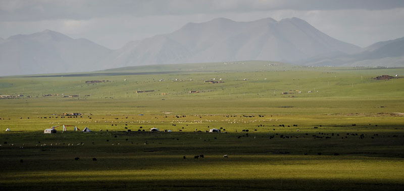 Nomadic camps and herds, Zeku Grasslands by doss@yours